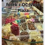 OC Novo Plaza