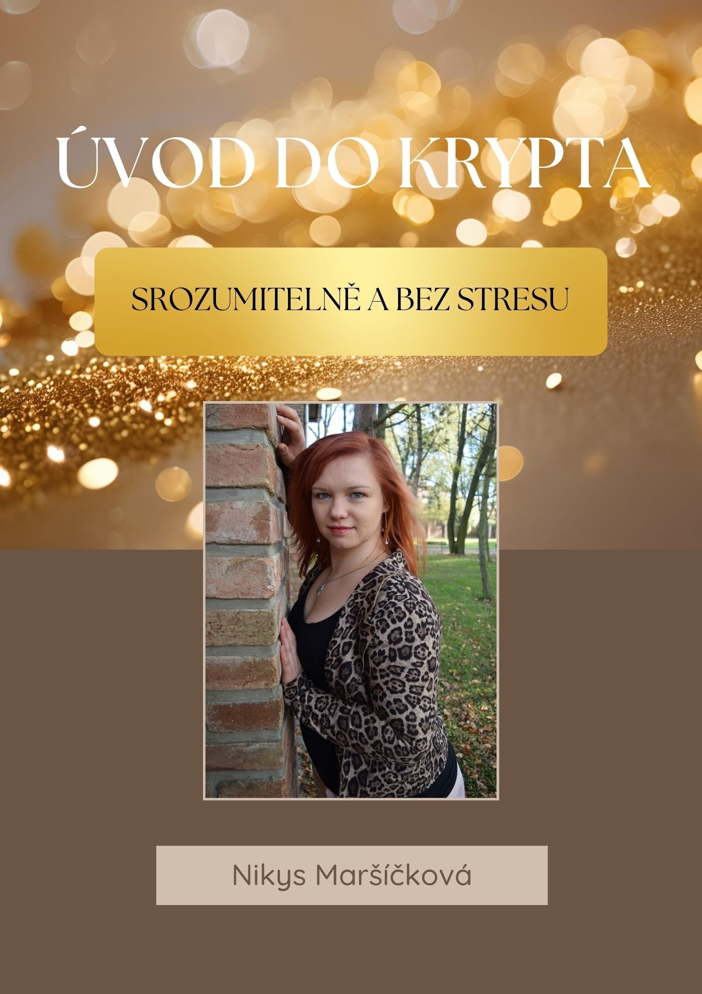 Úvod do krypta Úvod do krypta - Obrázek 1