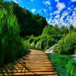 Instagram strolies
