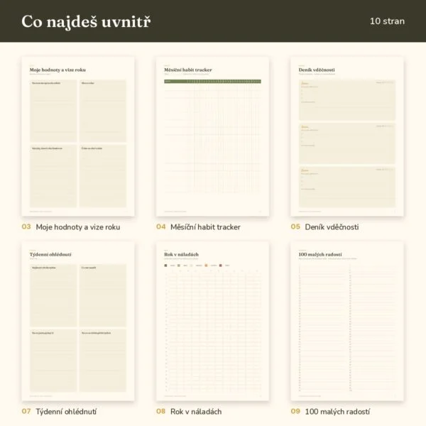 Deník vděčnosti a habit tracker k tisku – ukázka 2